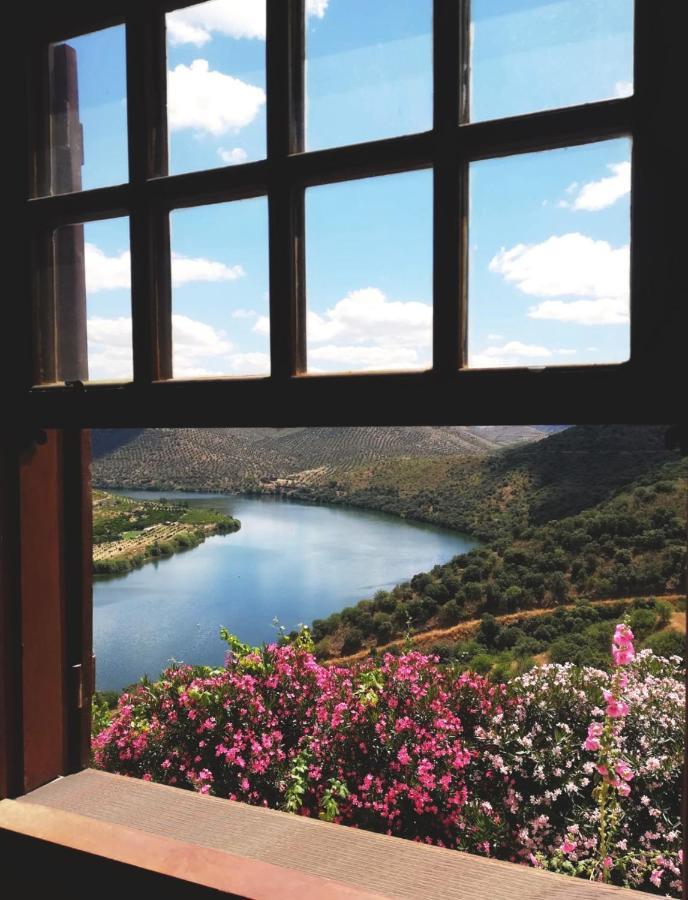 Villa Auri فيلا نوفا دي فوز كوا المظهر الخارجي الصورة