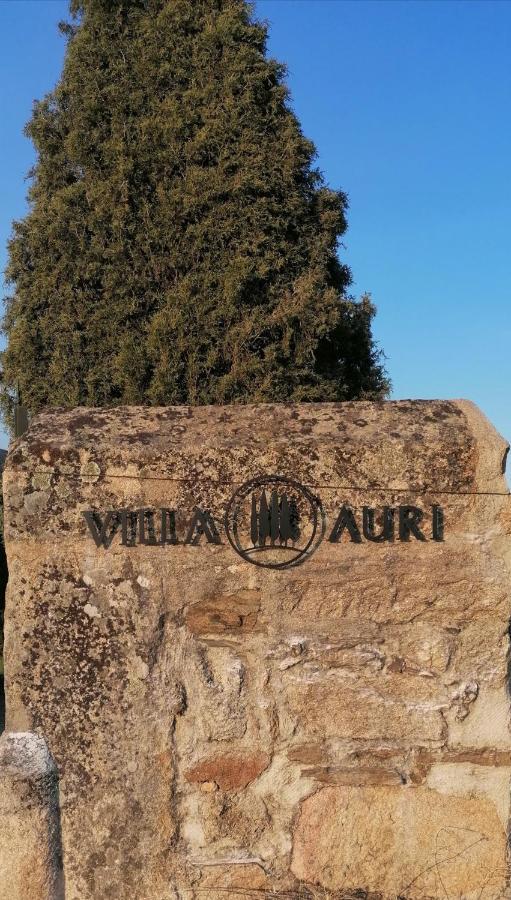 Villa Auri فيلا نوفا دي فوز كوا المظهر الخارجي الصورة