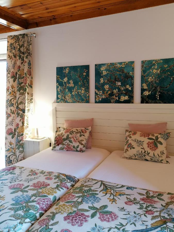 Villa Auri فيلا نوفا دي فوز كوا المظهر الخارجي الصورة