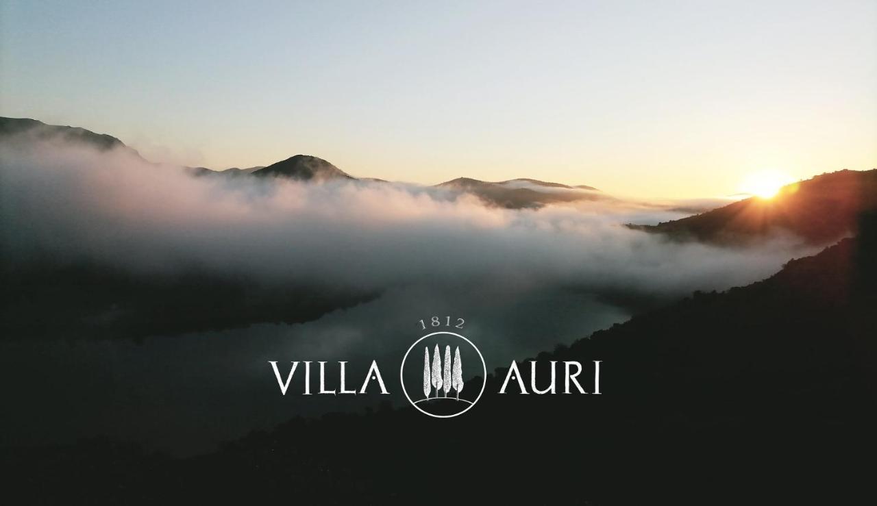 Villa Auri فيلا نوفا دي فوز كوا المظهر الخارجي الصورة